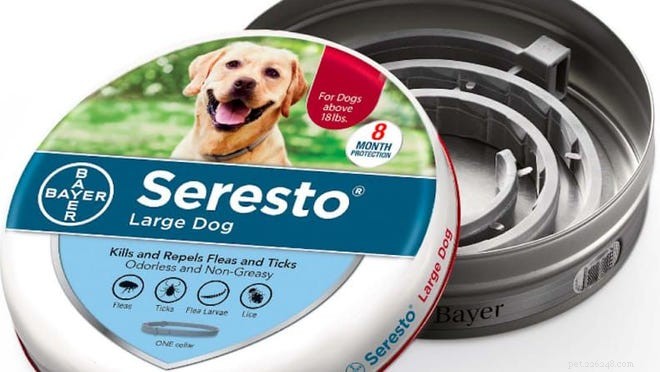 Hidden Risks in Common Flea Collars: What You Need to Know