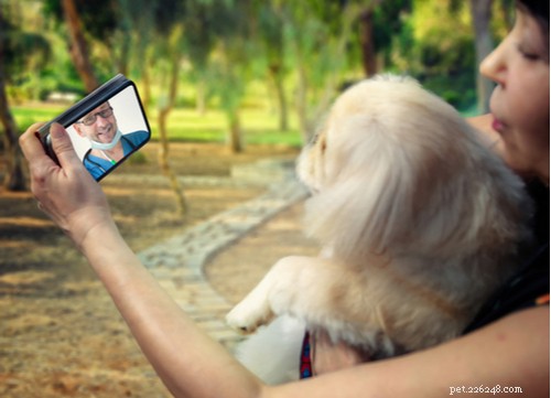 Virtual Veterinary Care 2021: Trends, How It Works, and Top Providers