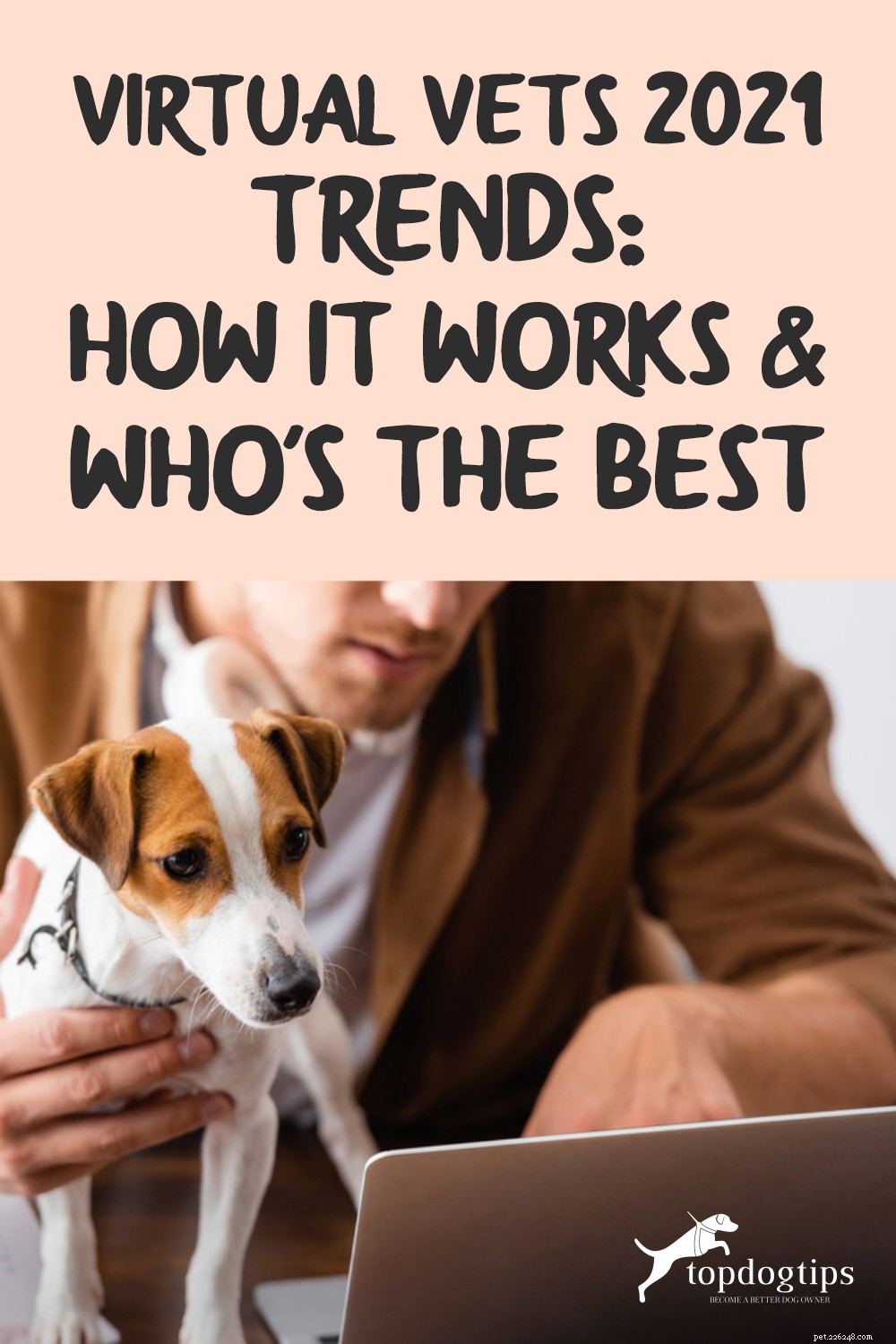 Virtual Veterinary Care 2021: Trends, How It Works, and Top Providers