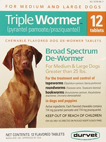 Identifying 4 Common Dog Parasite Worms in Feces