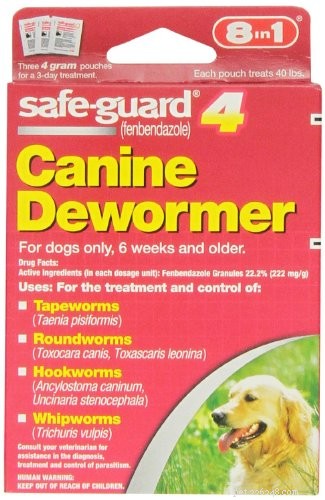 Identifying 4 Common Dog Parasite Worms in Feces