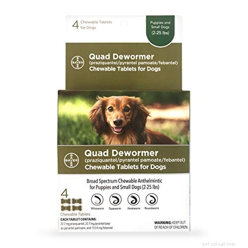 Identifying 4 Common Dog Parasite Worms in Feces