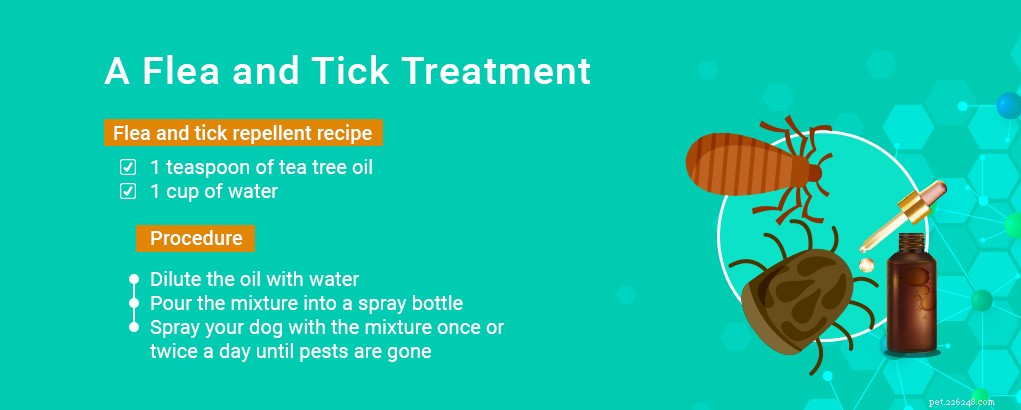 Tea Tree Oil for Dogs: Proven Benefits & Safe Uses Backed by Science