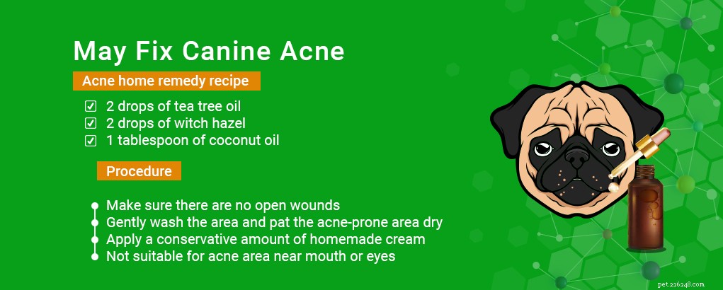 Tea Tree Oil for Dogs: Proven Benefits & Safe Uses Backed by Science