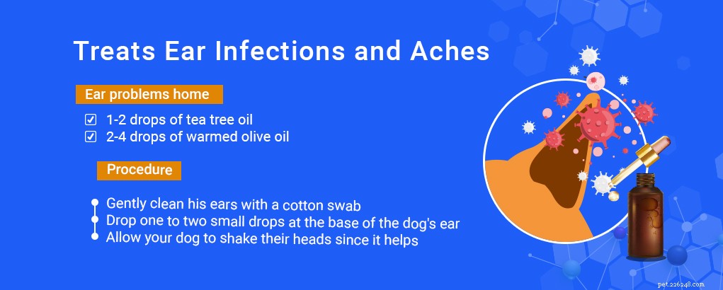 Tea Tree Oil for Dogs: Proven Benefits & Safe Uses Backed by Science