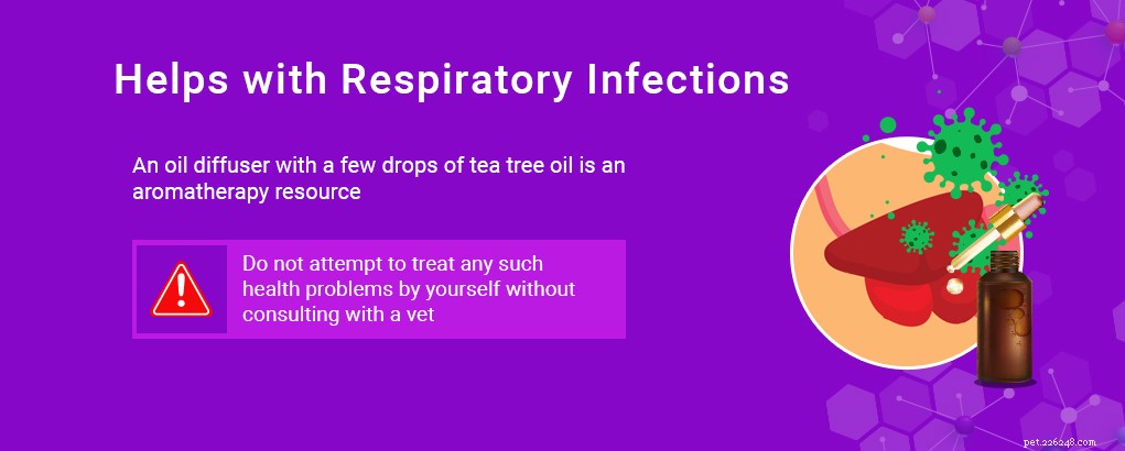 Tea Tree Oil for Dogs: Proven Benefits & Safe Uses Backed by Science