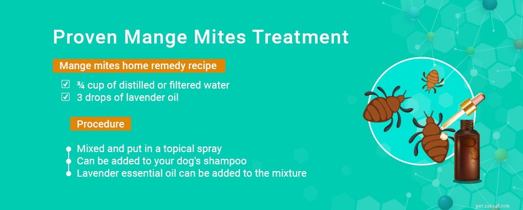 Tea Tree Oil for Dogs: Proven Benefits & Safe Uses Backed by Science