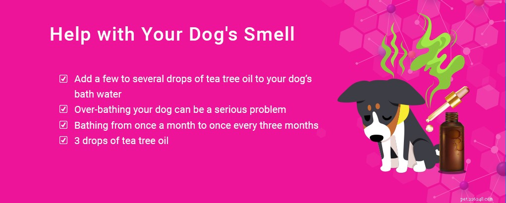 Tea Tree Oil for Dogs: Proven Benefits & Safe Uses Backed by Science