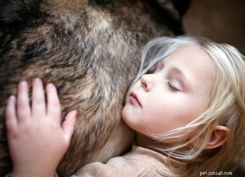 Guidance on Allowing Your Dog to Pass Naturally at Home