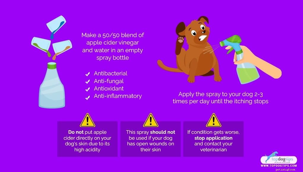 DIY Dog Itch Relief Spray: A Safe, Natural Remedy for Dry, Irritated Skin