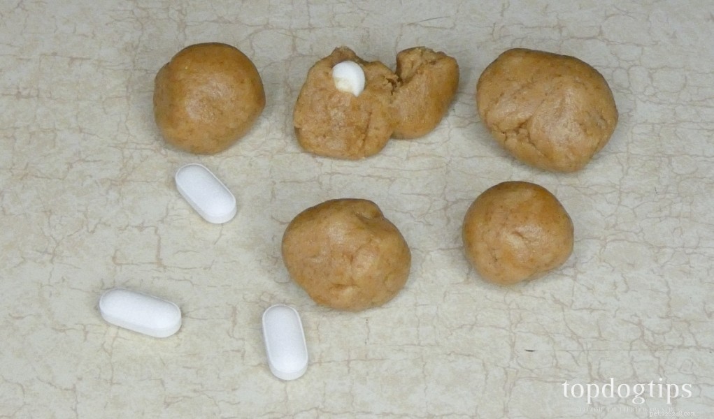 Expert Guide: Safely Giving Your Dog Pills & Medication