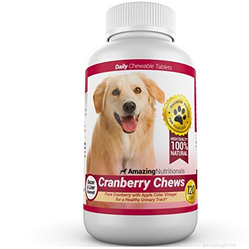 Managing Bladder Stones in Dogs: Effective Home Care and Veterinary Solutions