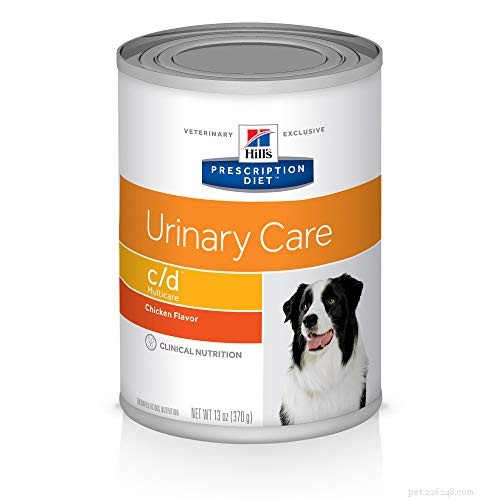 Managing Bladder Stones in Dogs: Effective Home Care and Veterinary Solutions