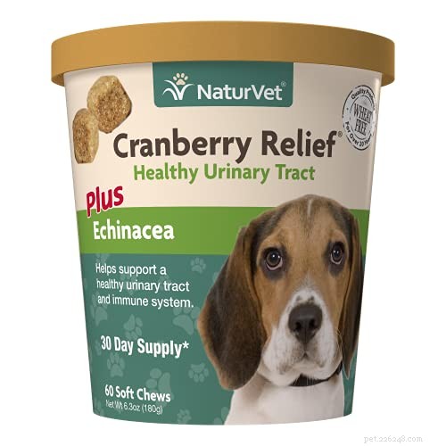 Managing Bladder Stones in Dogs: Effective Home Care and Veterinary Solutions