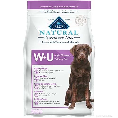 Managing Bladder Stones in Dogs: Effective Home Care and Veterinary Solutions