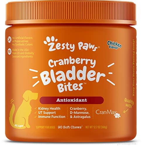 Managing Bladder Stones in Dogs: Effective Home Care and Veterinary Solutions