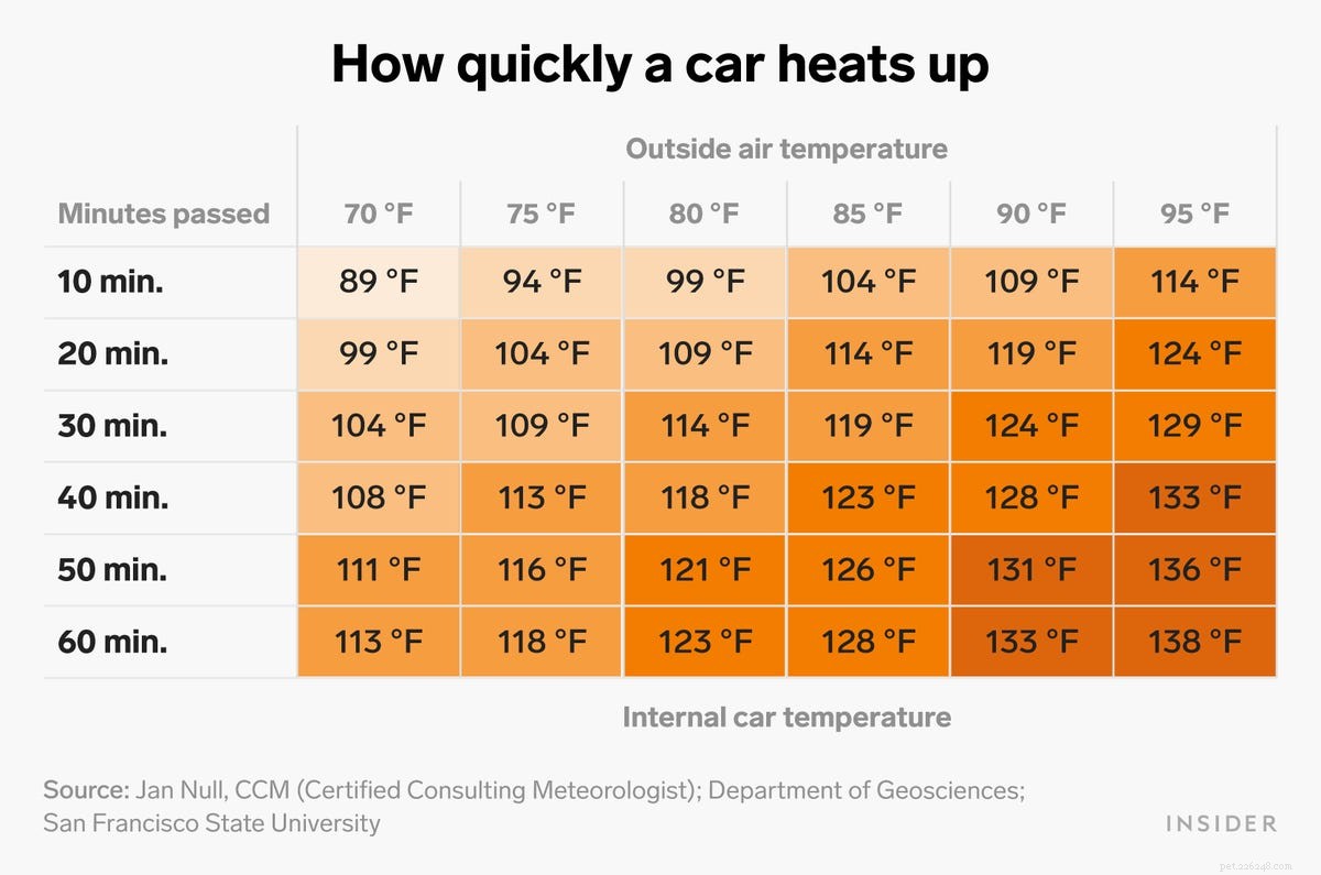 Why You Should Never Leave Your Dog in a Hot Car: Risks, Laws, and Heat‑Resistant Breeds