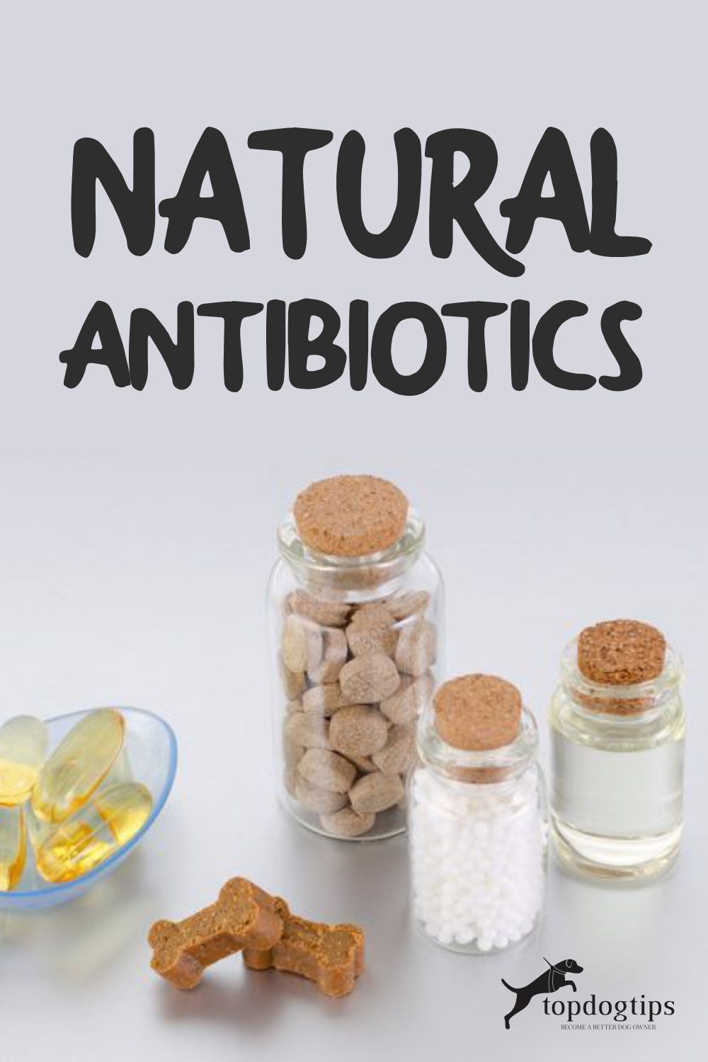 Natural Antibiotics: A Safer Alternative for Your Dog’s Infections