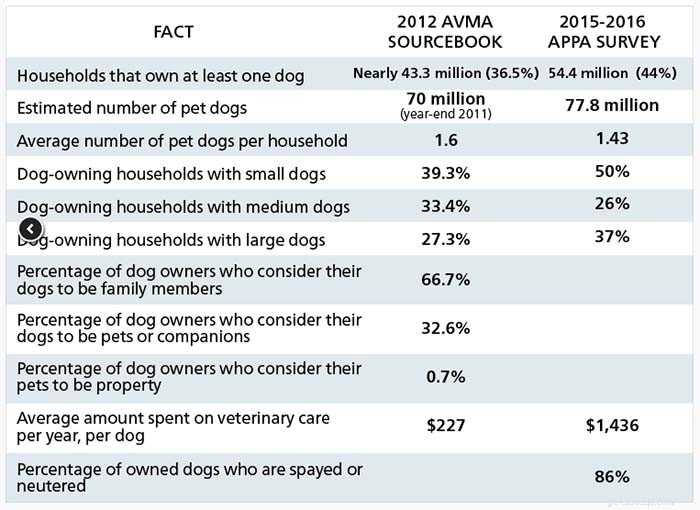 Neutering vs. Spaying Dogs: Evidence-Based Pros & Cons for Your Pet s Health