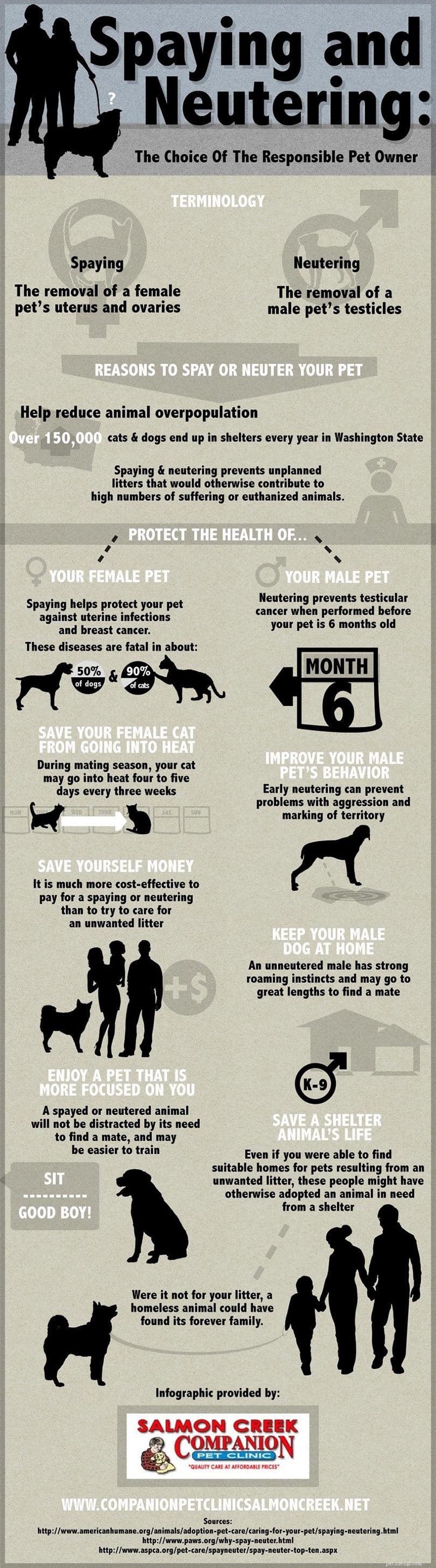 Neutering vs. Spaying Dogs: Evidence-Based Pros & Cons for Your Pet s Health