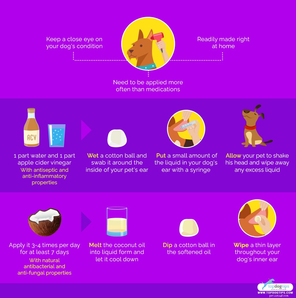 Proven Dog Ear Infection Treatment: Fast, Safe Relief for Your Pet
