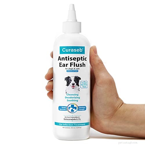 Proven Dog Ear Infection Treatment: Fast, Safe Relief for Your Pet