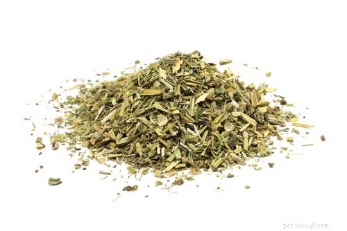 Anise & Catnip for Dogs: Safety, Benefits & Myths Explained