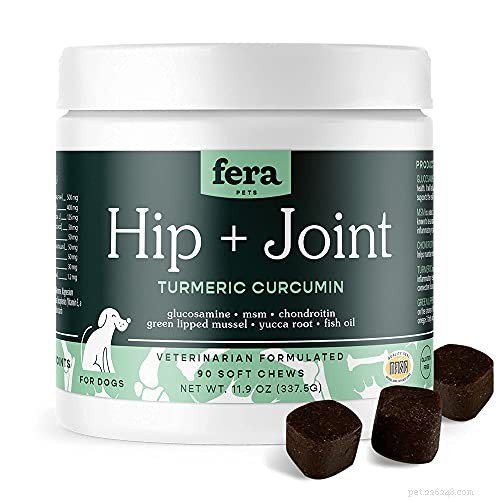 5 Expert Ways to Preserve Your Dog’s Joint Health and Prevent Painful Problems
