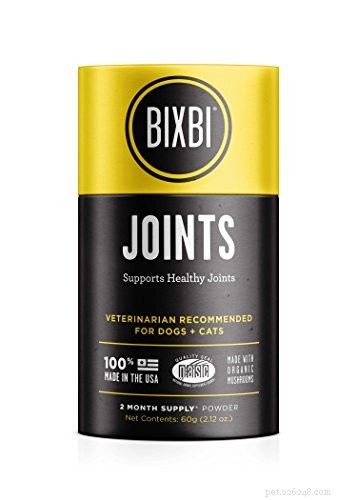 5 Expert Ways to Preserve Your Dog’s Joint Health and Prevent Painful Problems