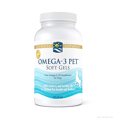 5 Expert Ways to Preserve Your Dog’s Joint Health and Prevent Painful Problems