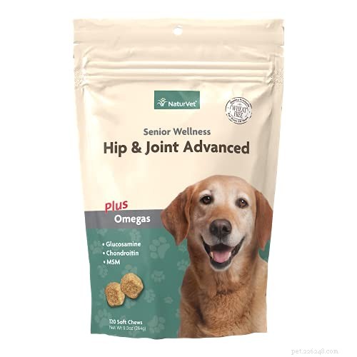 5 Expert Ways to Preserve Your Dog’s Joint Health and Prevent Painful Problems
