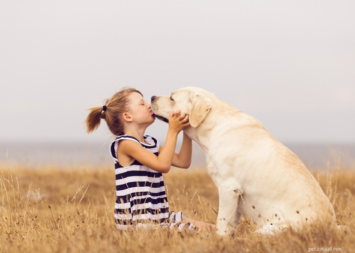 Understanding Dog Personality: Traits, Types, and Owner Training Tips