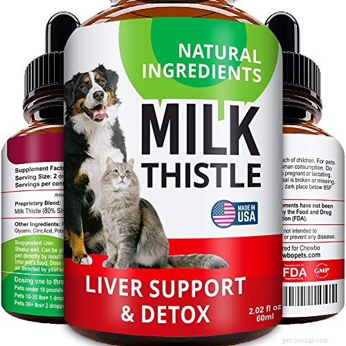 Milk Thistle for Dogs: Benefits, Uses, and Safety Guide