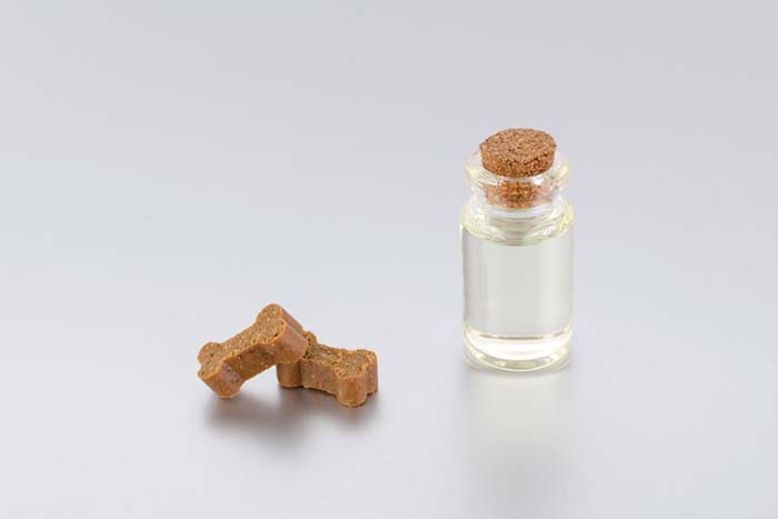 Milk Thistle for Dogs: Benefits, Uses, and Safety Guide