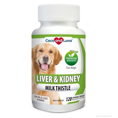 Milk Thistle for Dogs: Benefits, Uses, and Safety Guide