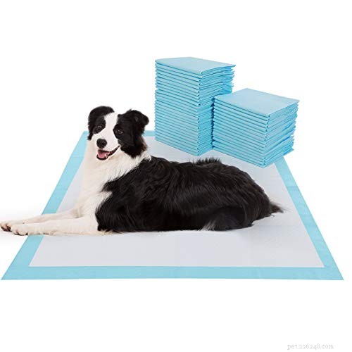 Dog Urinary Incontinence: Causes, Symptoms, and Treatment Options