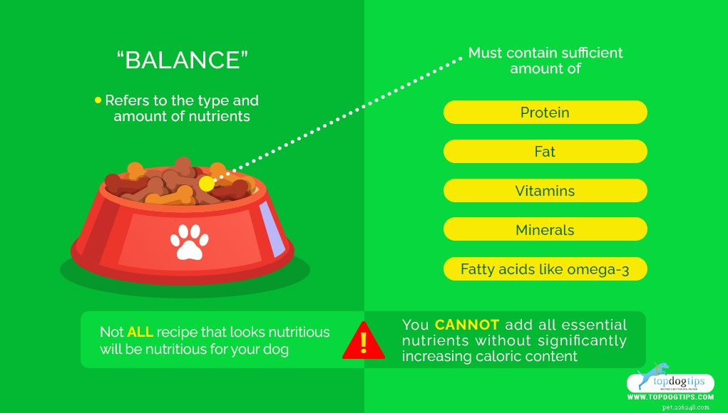 13 Nutritious Homemade Dog Food Recipes for Optimal Health