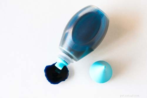 10 Dog Products and Household Items That May Raise Cancer Risk – Protect Your Pet