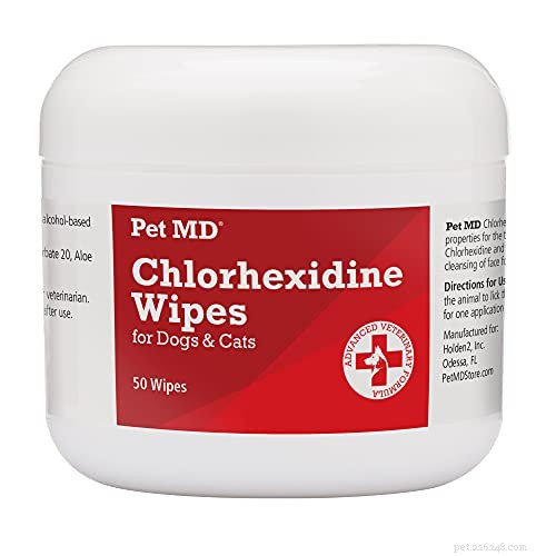 Effective Home Care for Dog Hot Spots: Quick Relief & Prevention