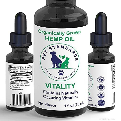 Effective OTC Solutions for Managing Your Dog s Anxiety