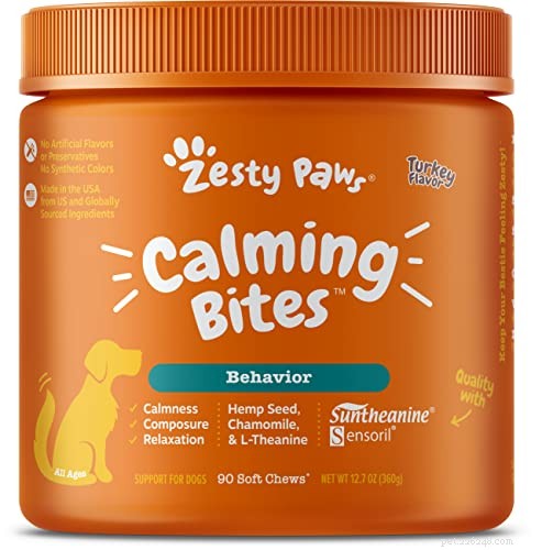 Effective OTC Solutions for Managing Your Dog s Anxiety