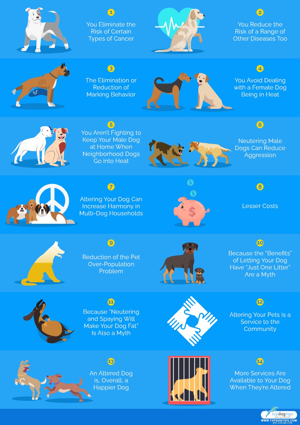 14 Proven Benefits of Spaying & Neutering Your Dog