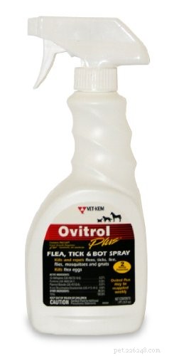 Top Fly Repellents to Protect Your Dog—Safe, Effective, and Easy to Use