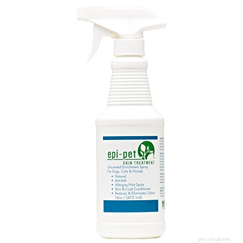 Top Fly Repellents to Protect Your Dog—Safe, Effective, and Easy to Use
