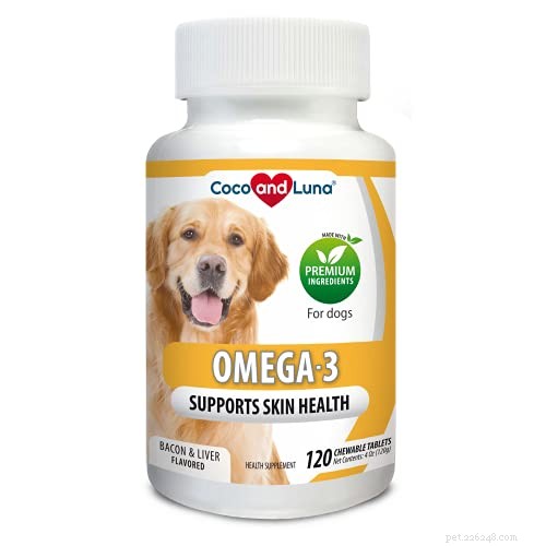 Dog Psoriasis: Recognizing Symptoms, Causes, Effective Treatments & Prevention Tips