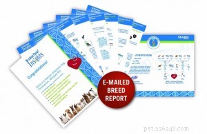 How Accurate Are Dog DNA Tests? A Clear Guide to Reliability and Breed Identification