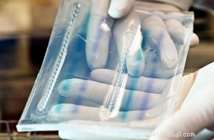 How Accurate Are Dog DNA Tests? A Clear Guide to Reliability and Breed Identification