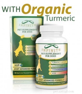 Top 8 Essential Supplements to Boost Your Dog’s Health