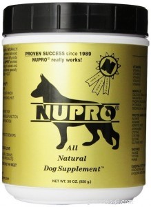 Top 8 Essential Supplements to Boost Your Dog’s Health