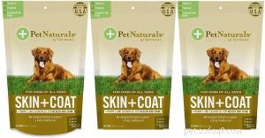 Top 8 Essential Supplements to Boost Your Dog’s Health